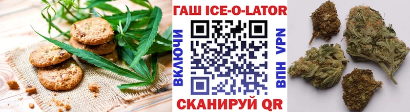 Canna-Cookies марихуана  Купить закладки  Звенигово 