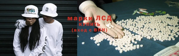 гидропоника Каменка