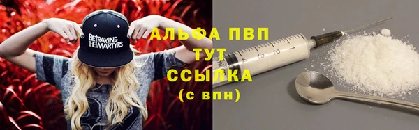 молекула духа Семилуки