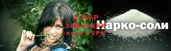 Альфа ПВП Каменногорск