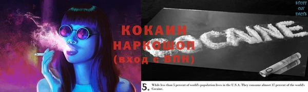 гидропоника Каменка