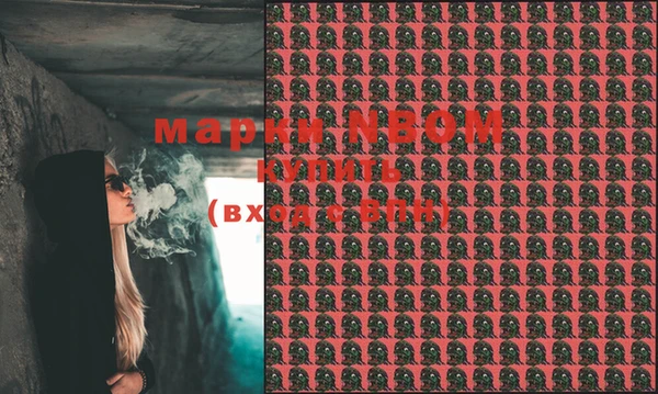 гидропоника Каменка