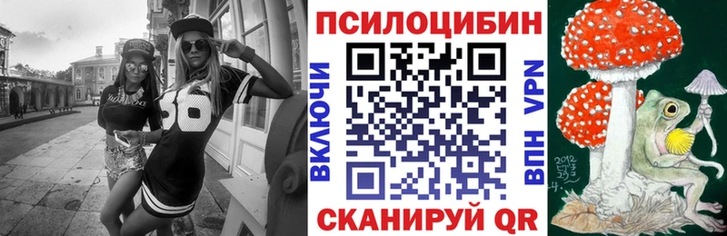 Псилоцибиновые грибы мухоморы  Купить где  Звенигово 